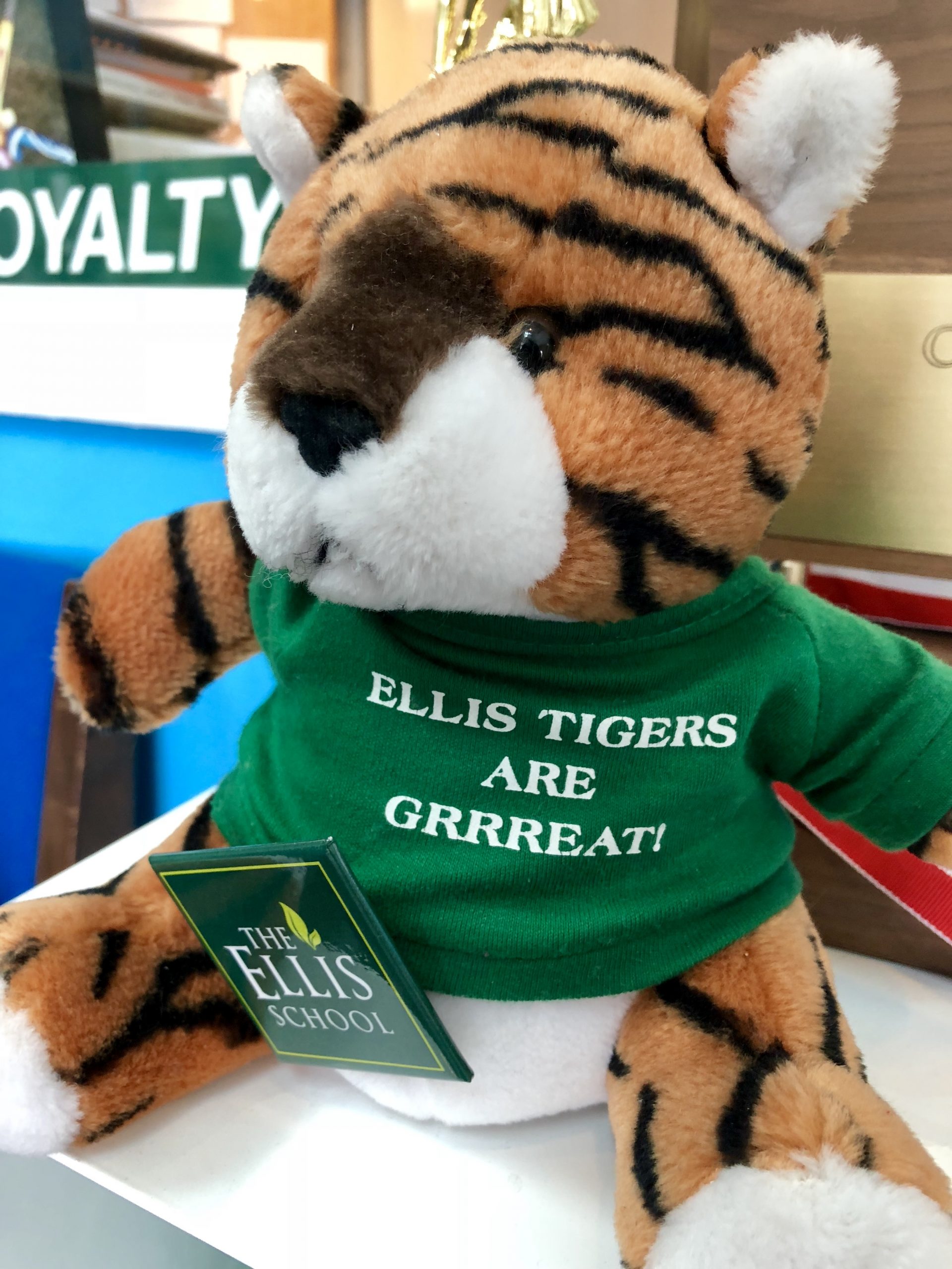 Teddy-Tiger-toy-with Ellis t-shirt